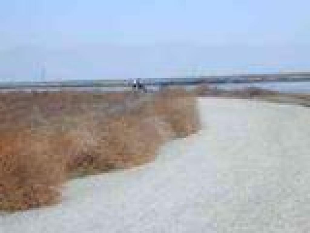 Trail