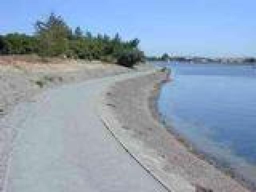 Along the lake