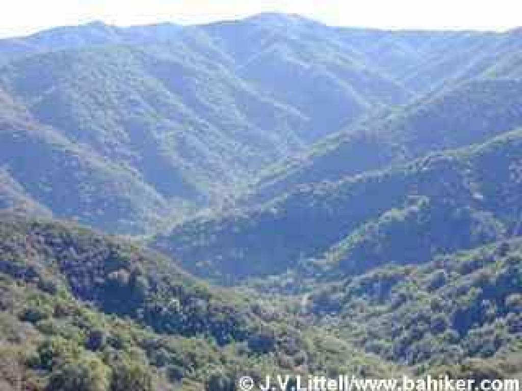 View south from Bald Mountain Trail