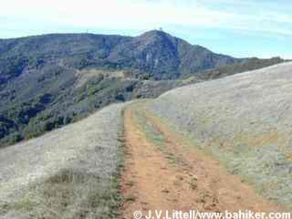 Bald Mountain Trail