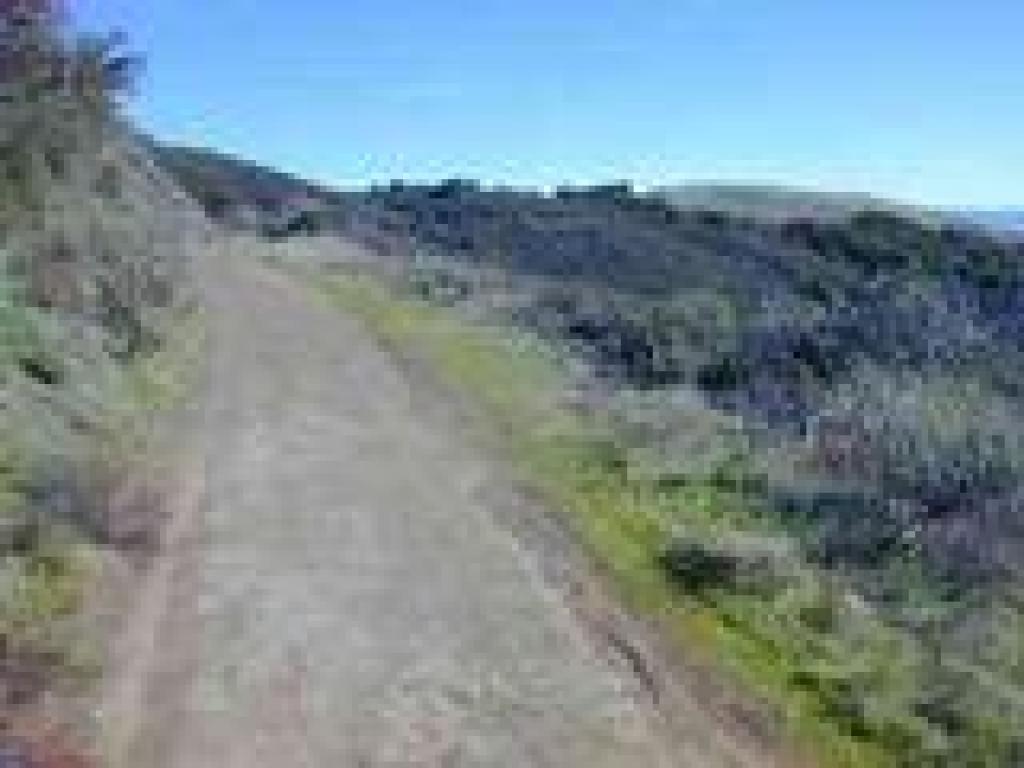 Bald Mountain Trail