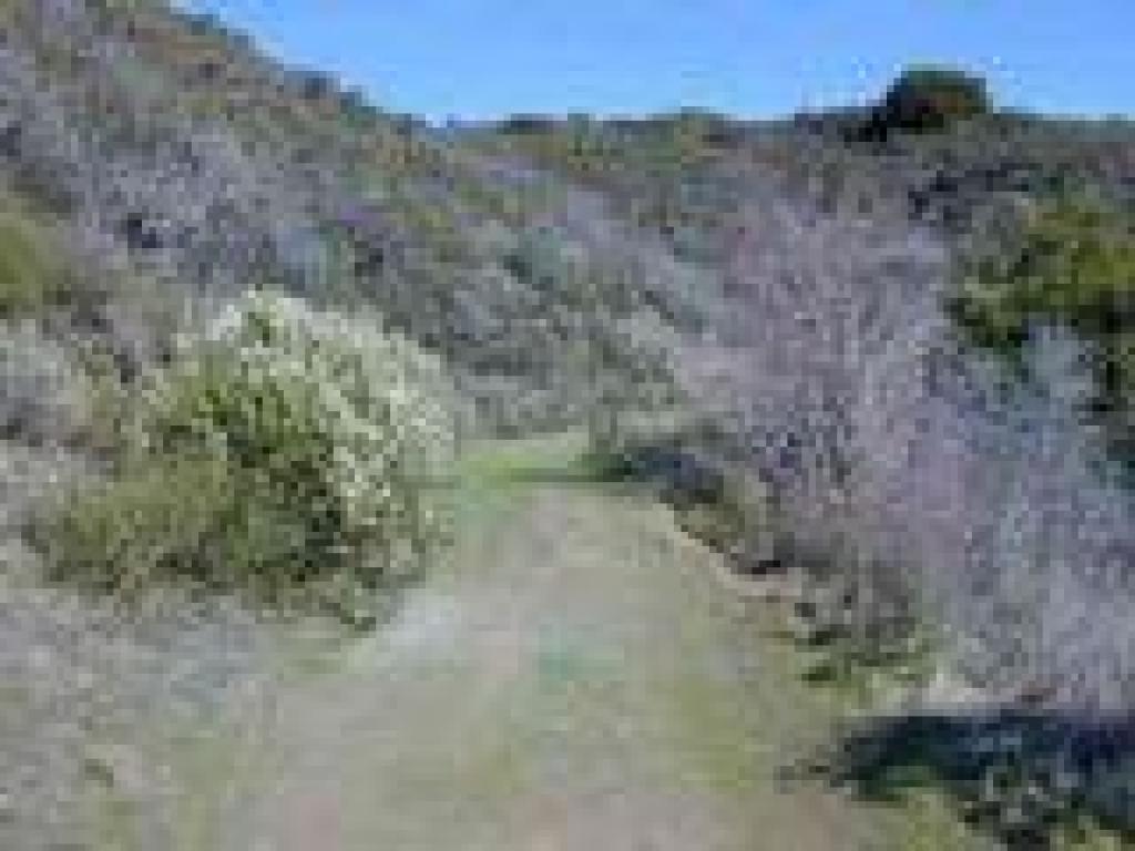 Winding past coyote brush