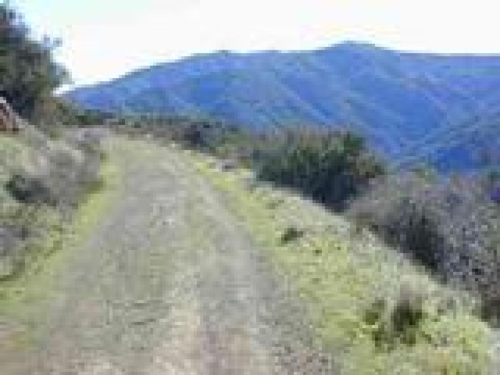 Bald Mountain Trail