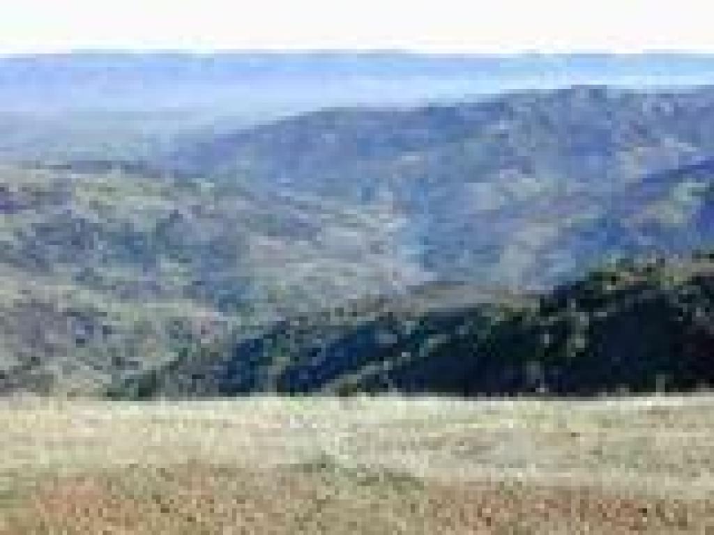 Almaden Reservoir