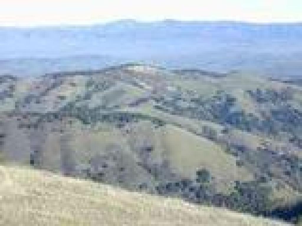 View to Almaden Quicksilver