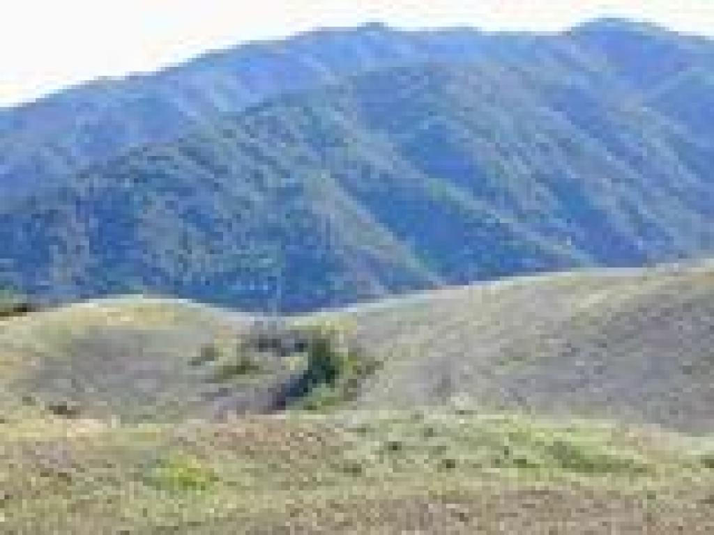 Loma Prieta