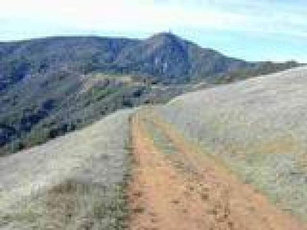 View of Umunhum