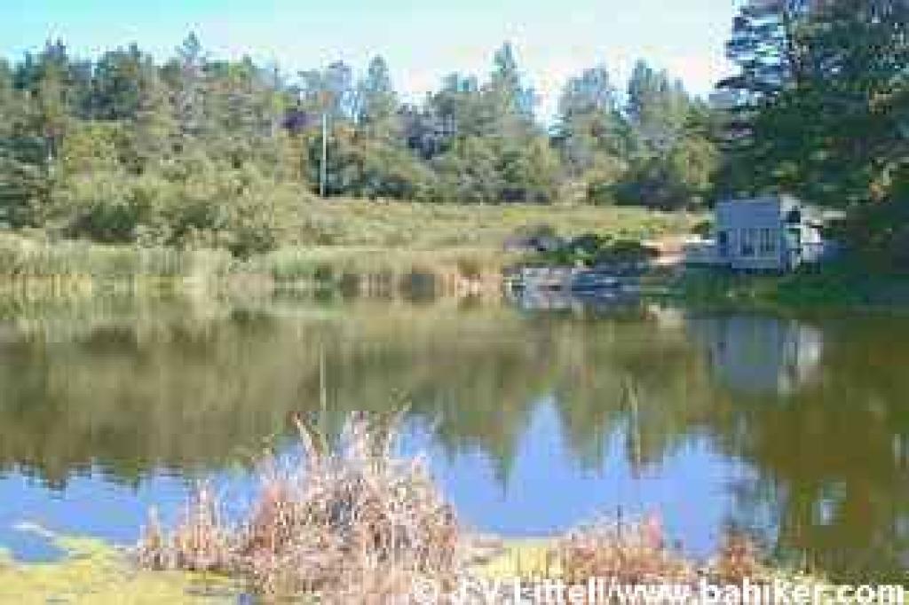 Alpine Pond