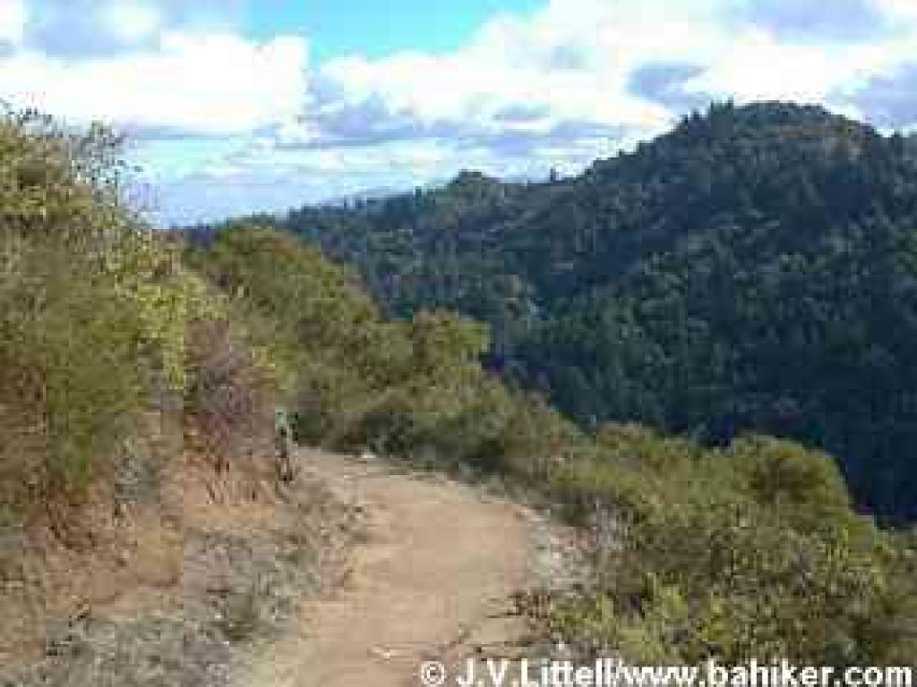 Photo from the Ridge Trail, with a view south