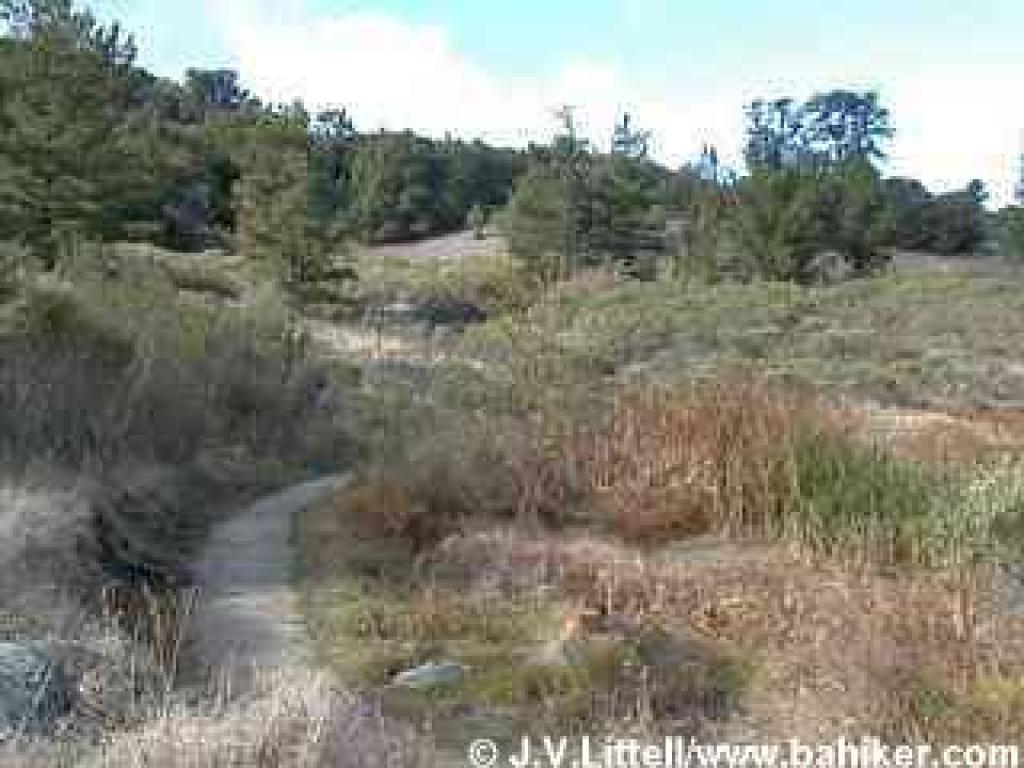 Photo of the all-access trail around Horseshoe Lake