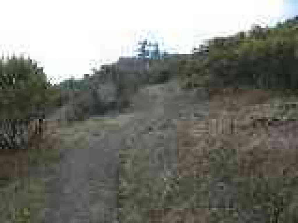 Trail