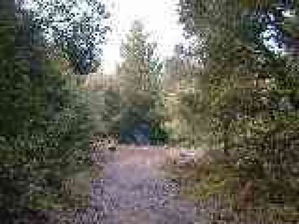 Junction
