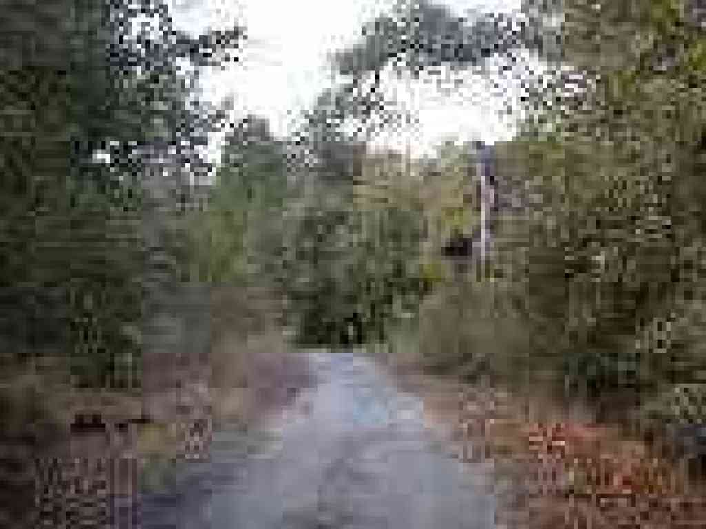 Downhill