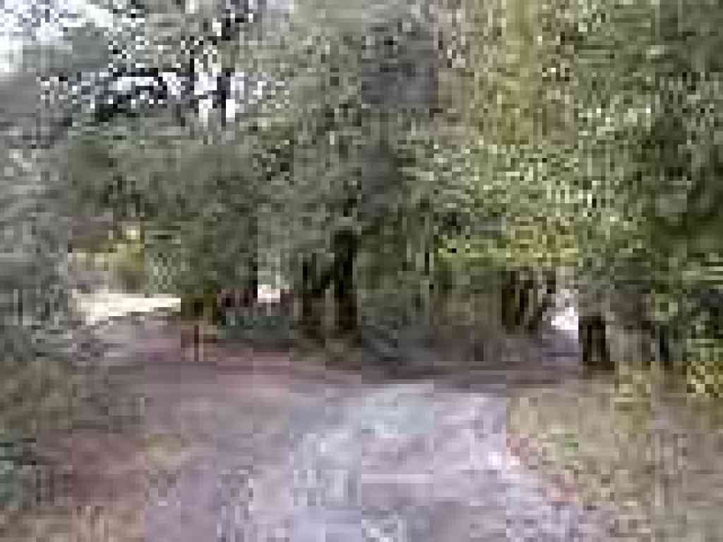 Junction