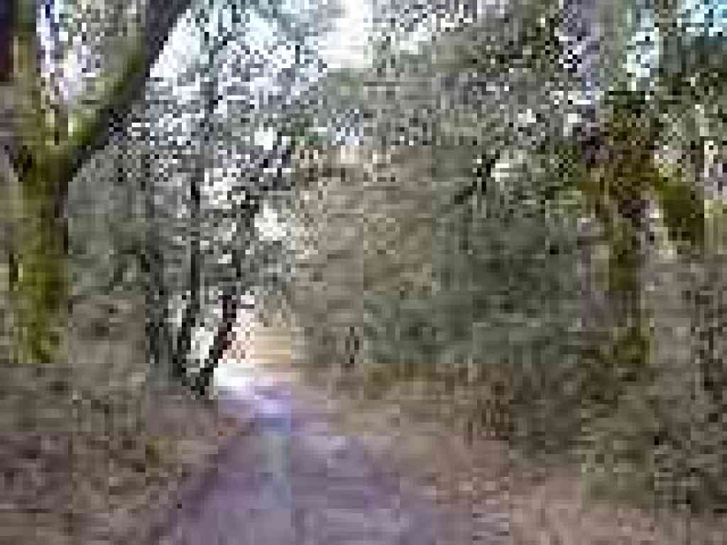Approaching junction