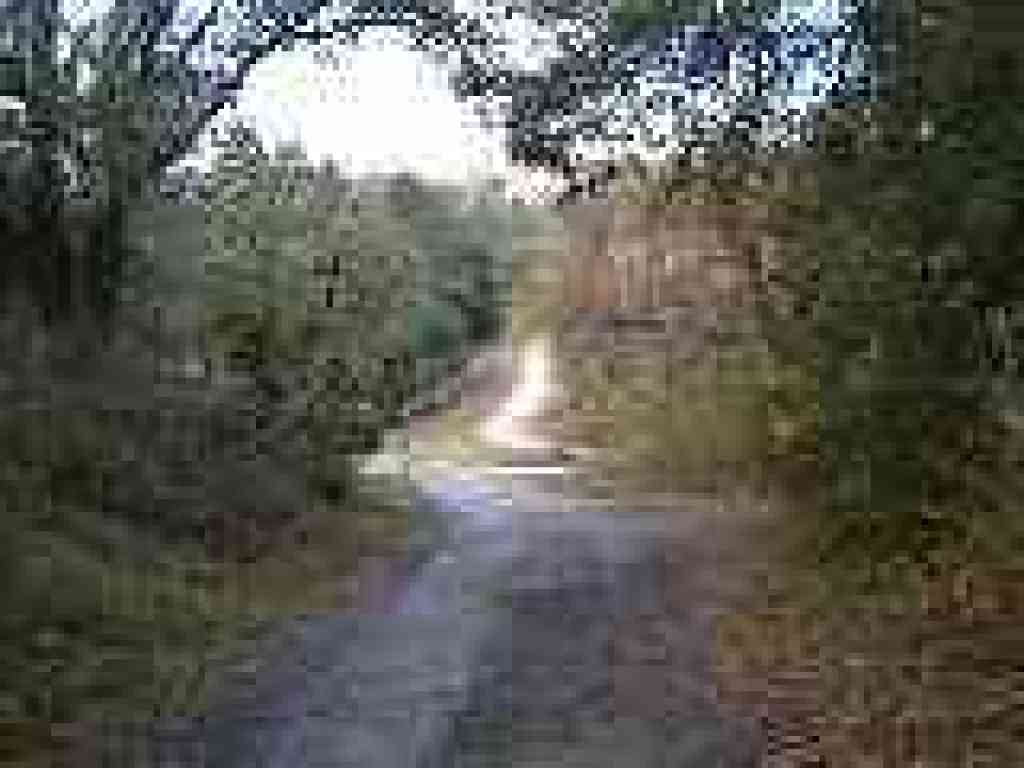 Approaching pond