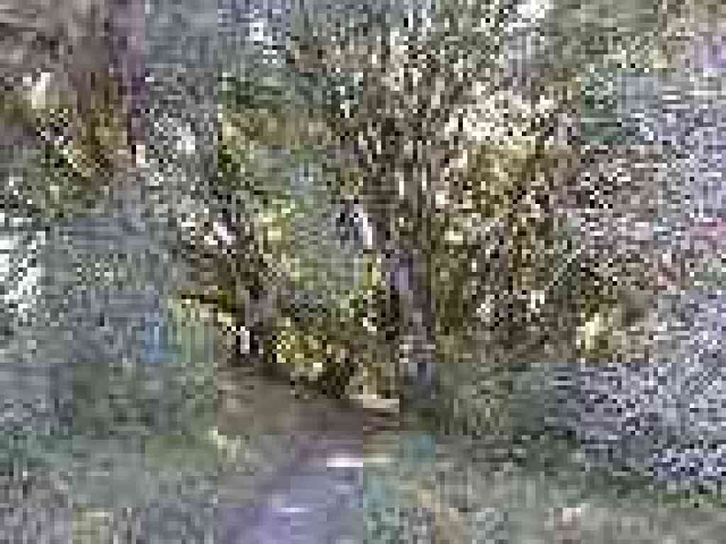 Ridge Trail