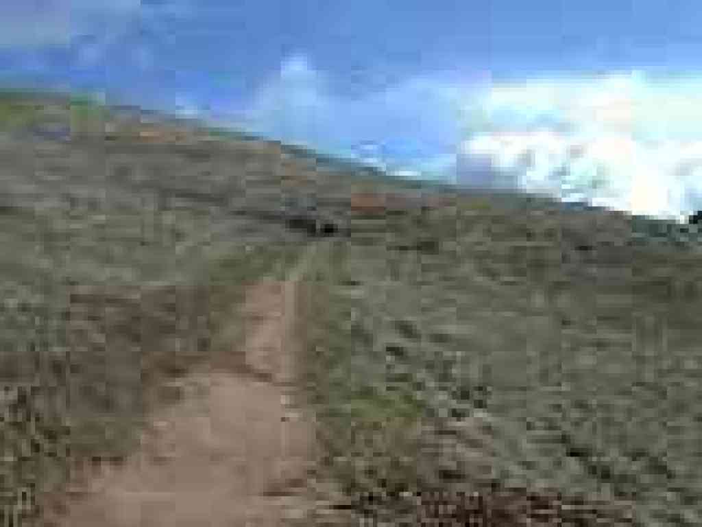 Ridge Trail