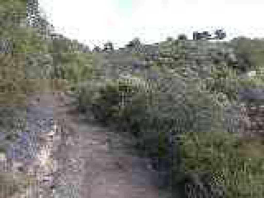 Through chaparral