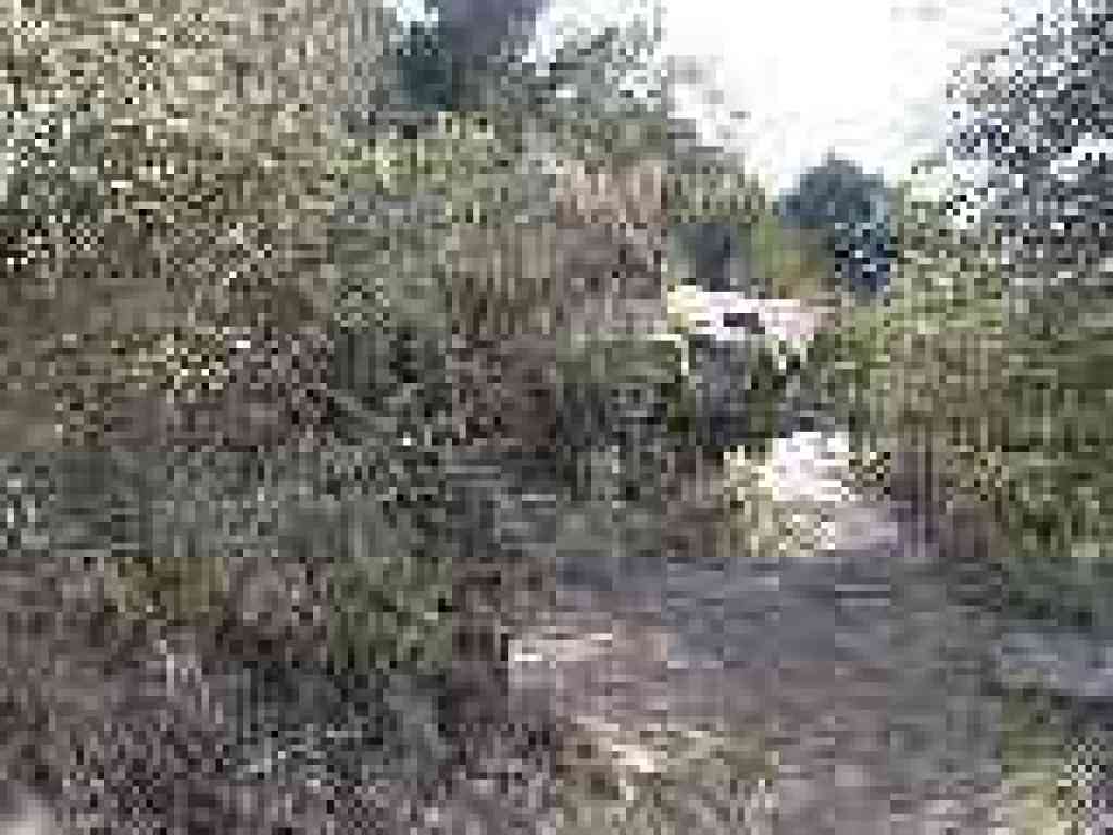 Junction