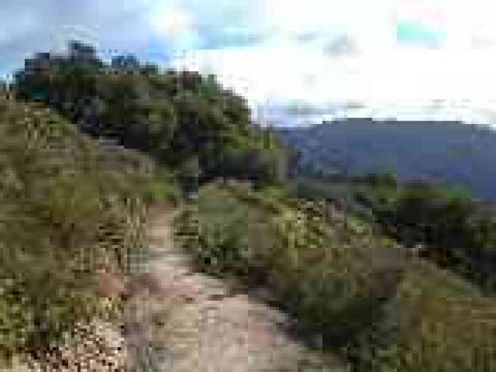 Ridge Trail