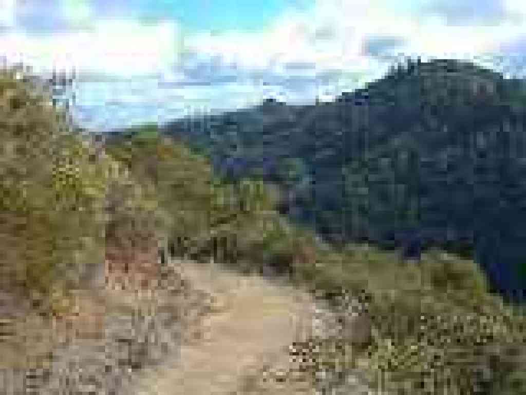 View south
