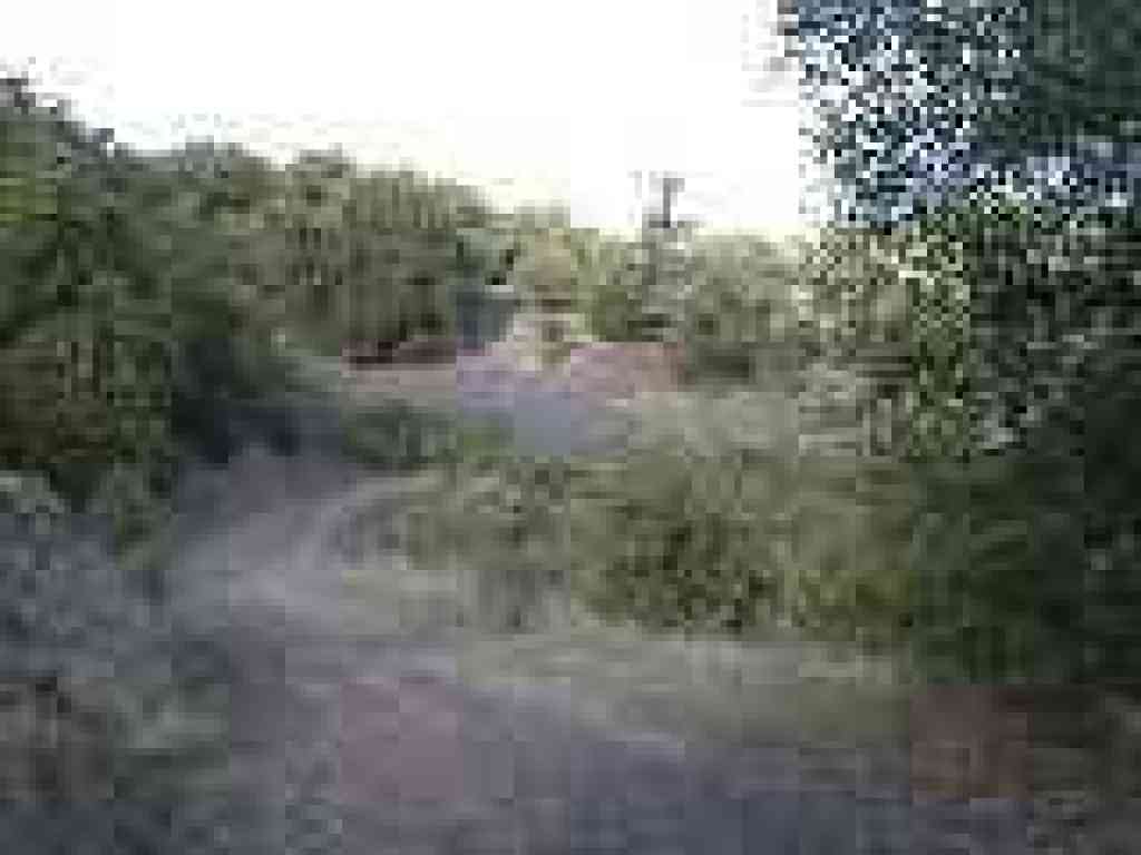 Trail