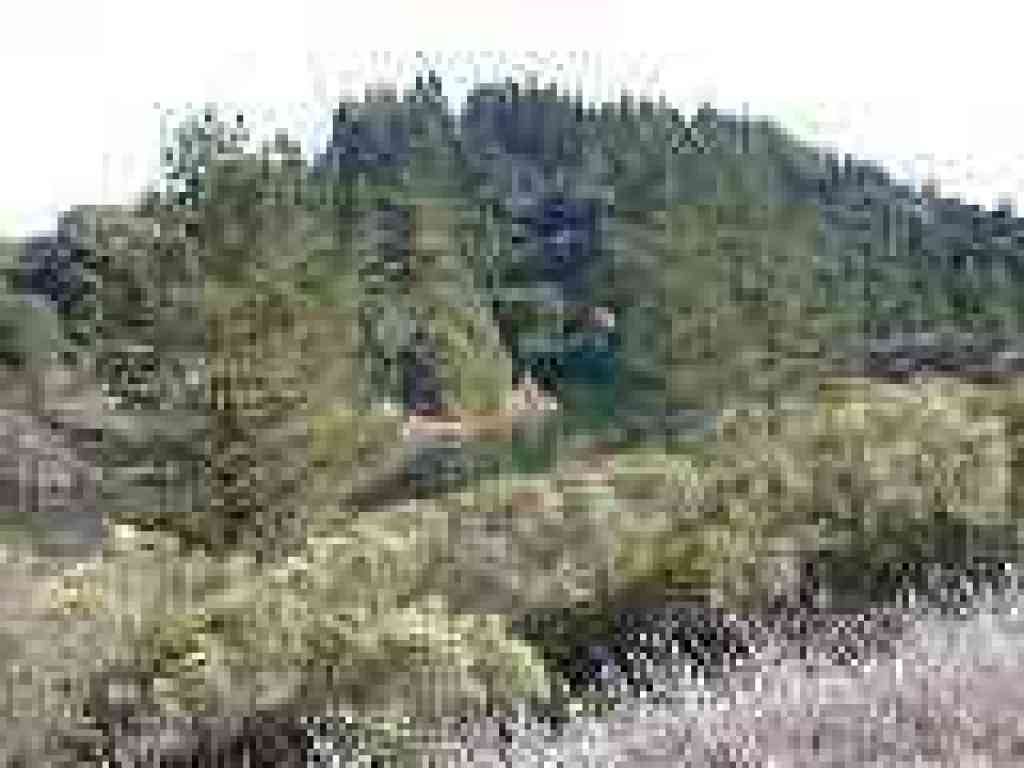 First clear view of the lake