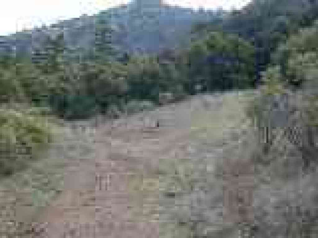 Junction