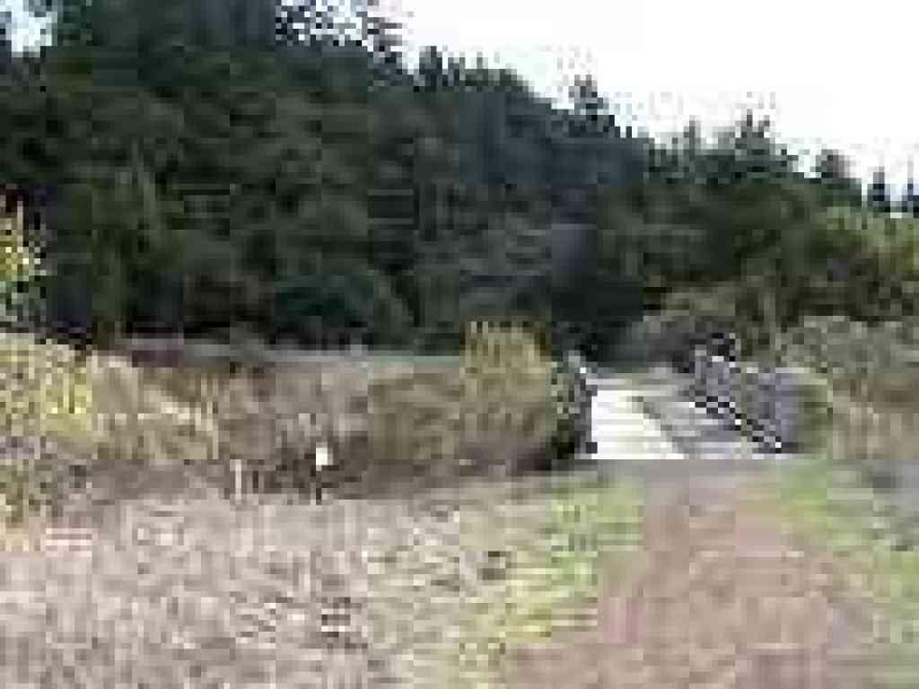 Junction