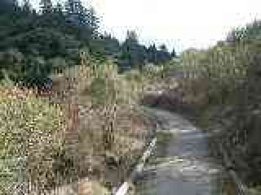 Ridge Trail