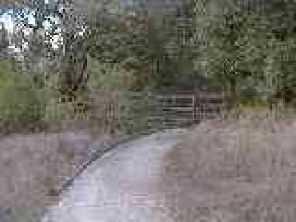 Bridge