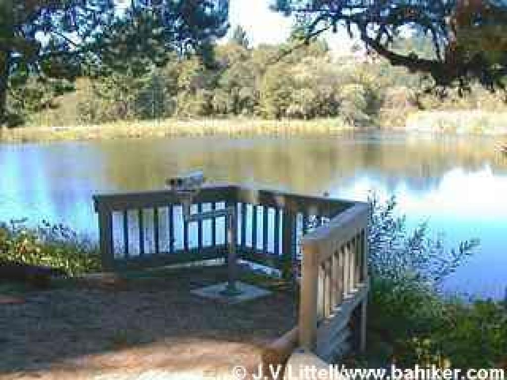 Photo of all-access trail around Alpine Pond