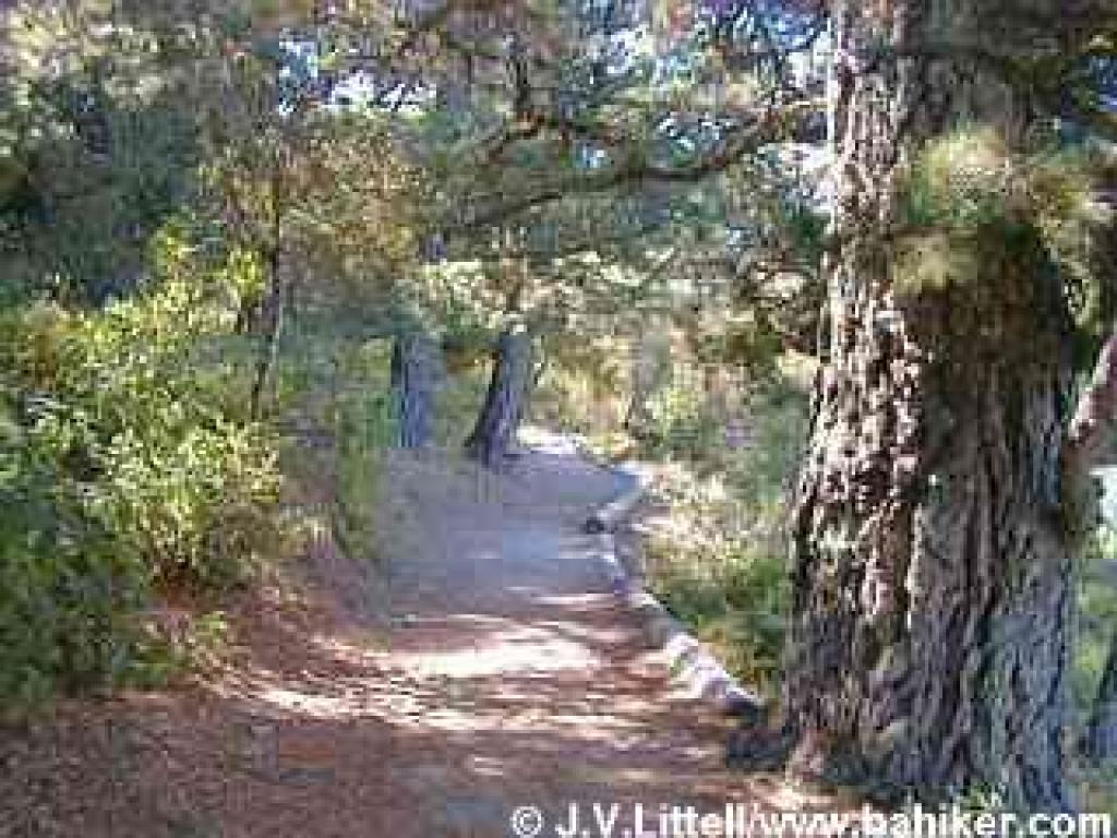 Path around Alpine Pond