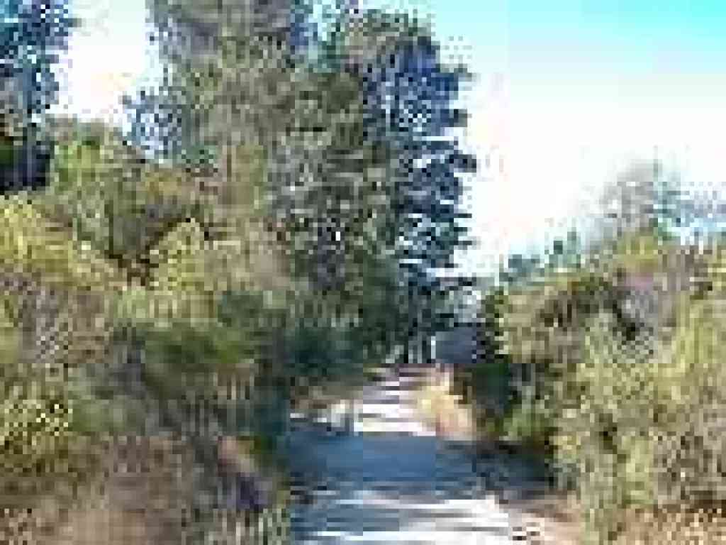 Approaching nature center
