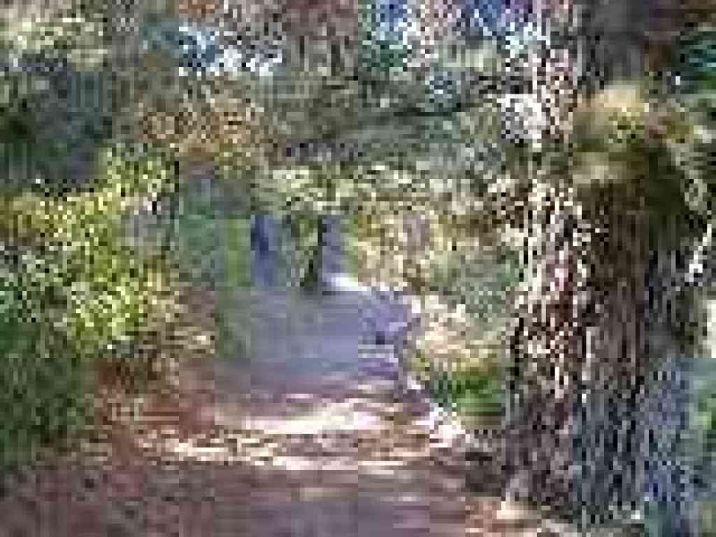 Alpine Pond Trail