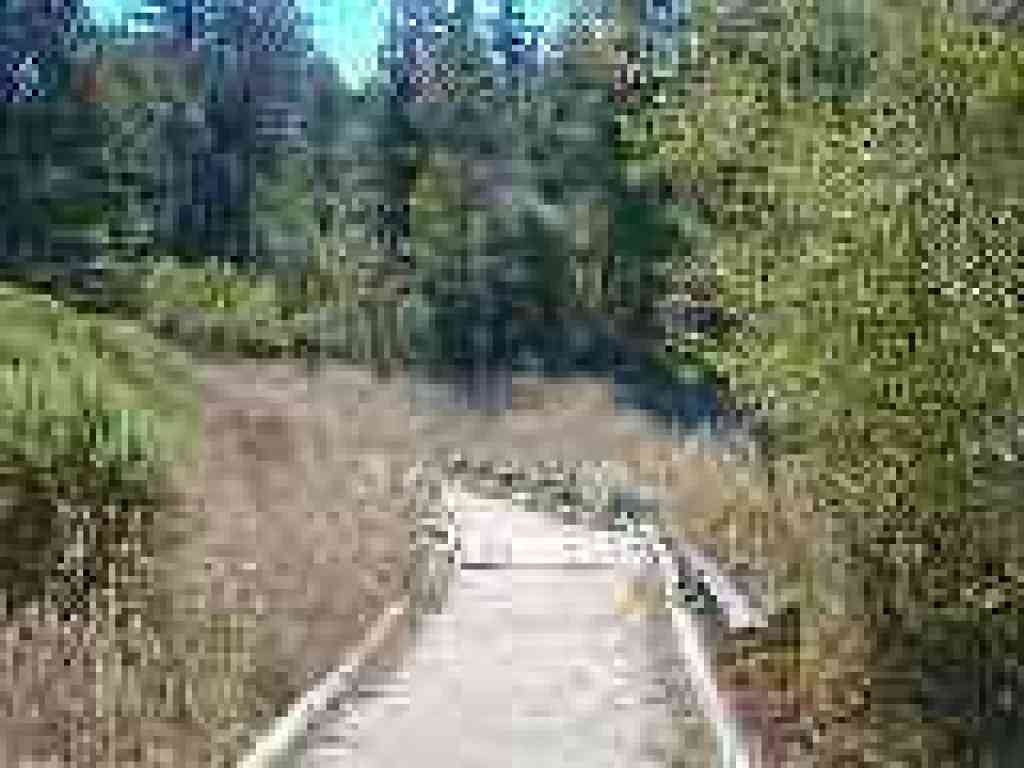 Alpine Pond Trail