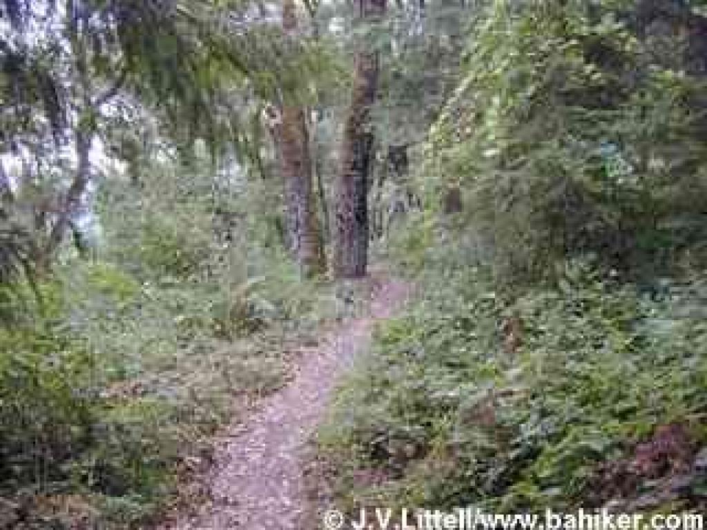 Path to Hikers' Hut