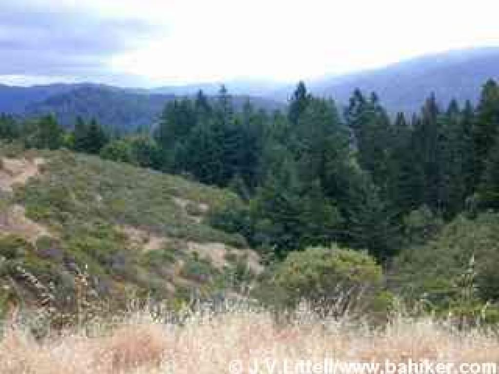 Viewpoint from Towne Ridge