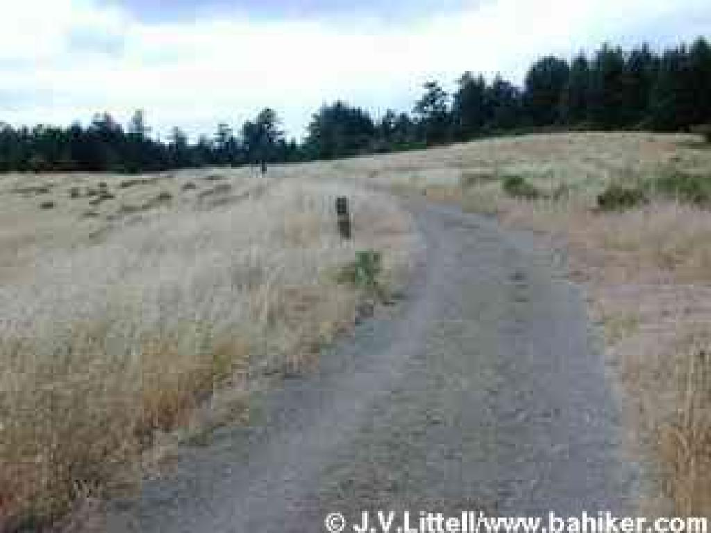 Towne Trail