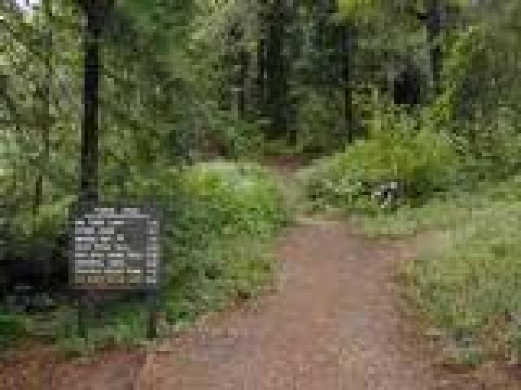Trailhead