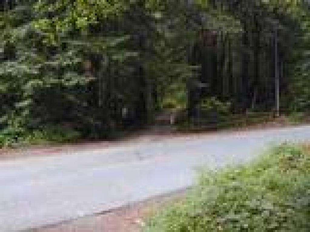 Crossing Pescadero Road
