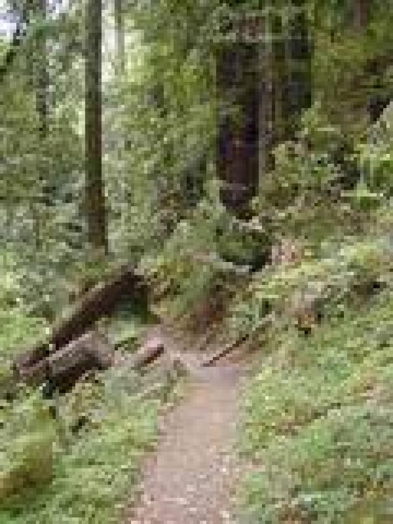 Heritage Grove Trail