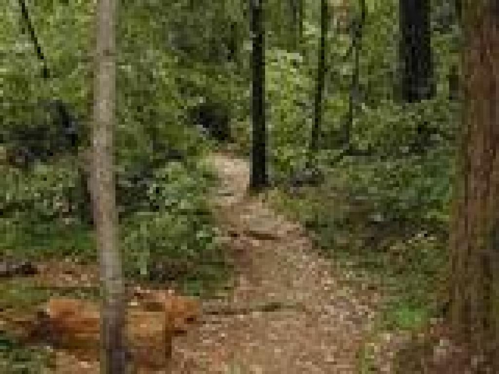 Heading to Hikers' Hut