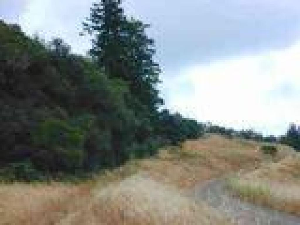 Path to Hikers' Hut