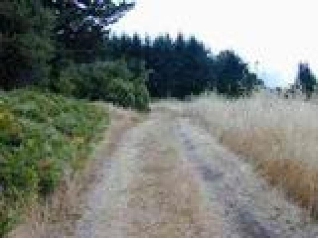 Trail to viewpoint