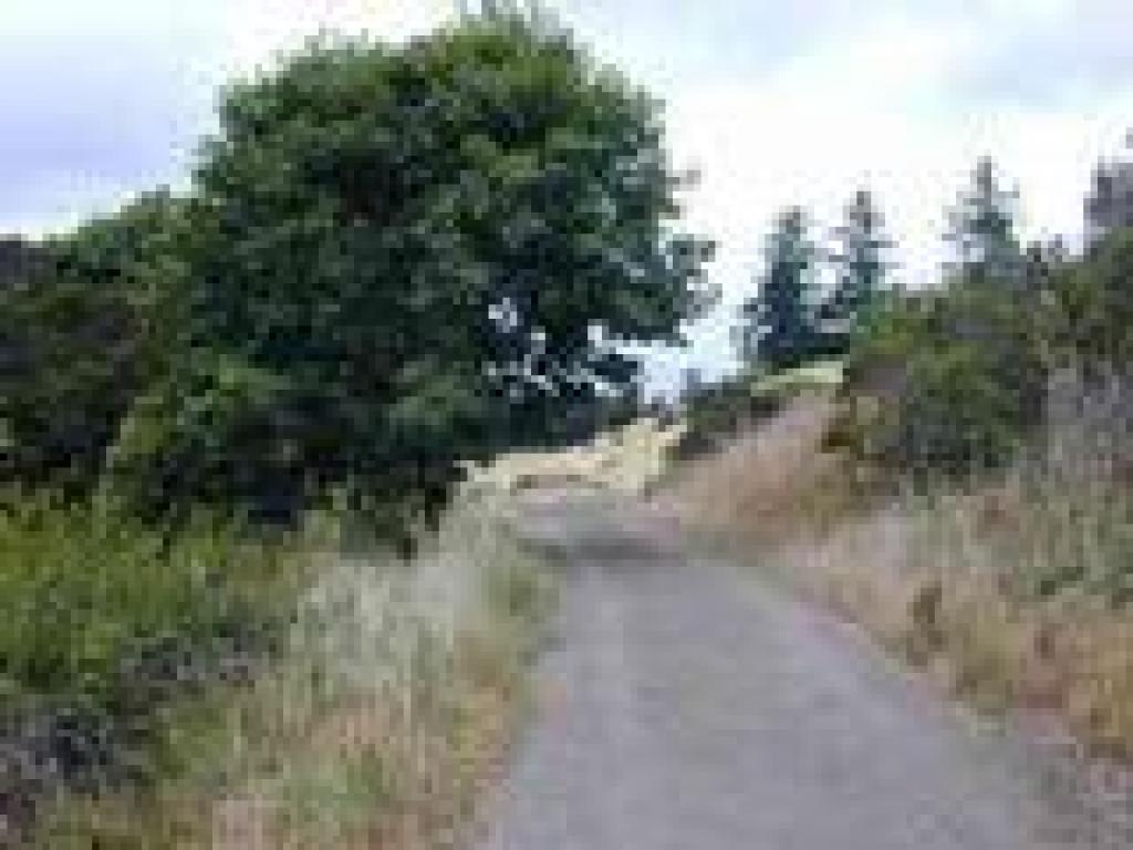 Towne Trail