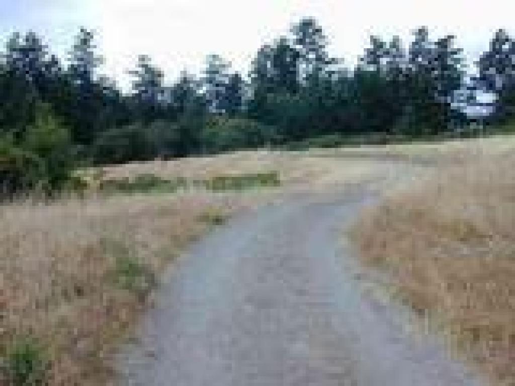 Towne Trail