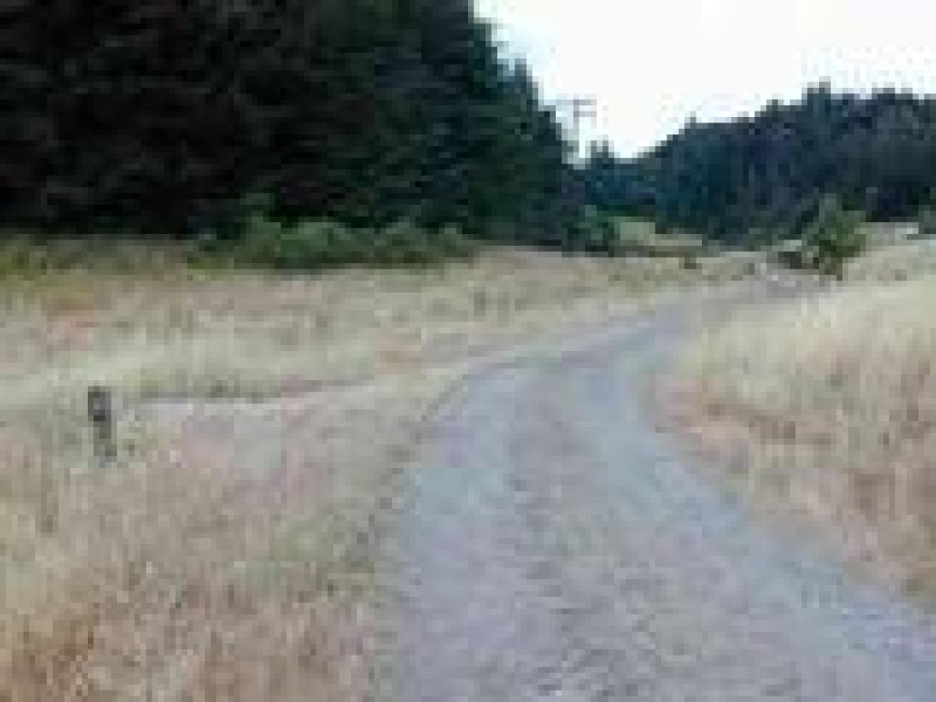 Junction with Brook Trail Loop