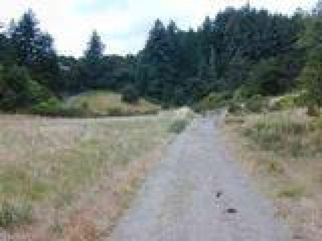 Approaching junction and horse camp